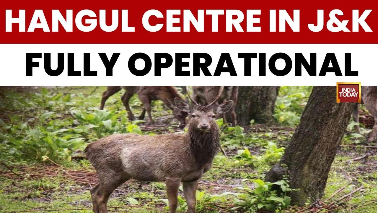 J&K Hangul Breeding Centre Now Fully Operational After Male Translocation