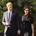 Prince Harry's Drama: Royal Expert Weighs In