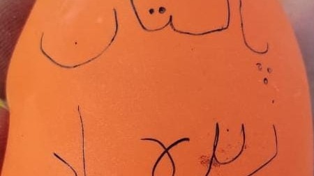 Suspicious balloon with Urdu slogan found in J&K's Samba, security forces on alert