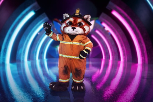 Who’s The Masked Singer star Red Panda All clues and theories so far